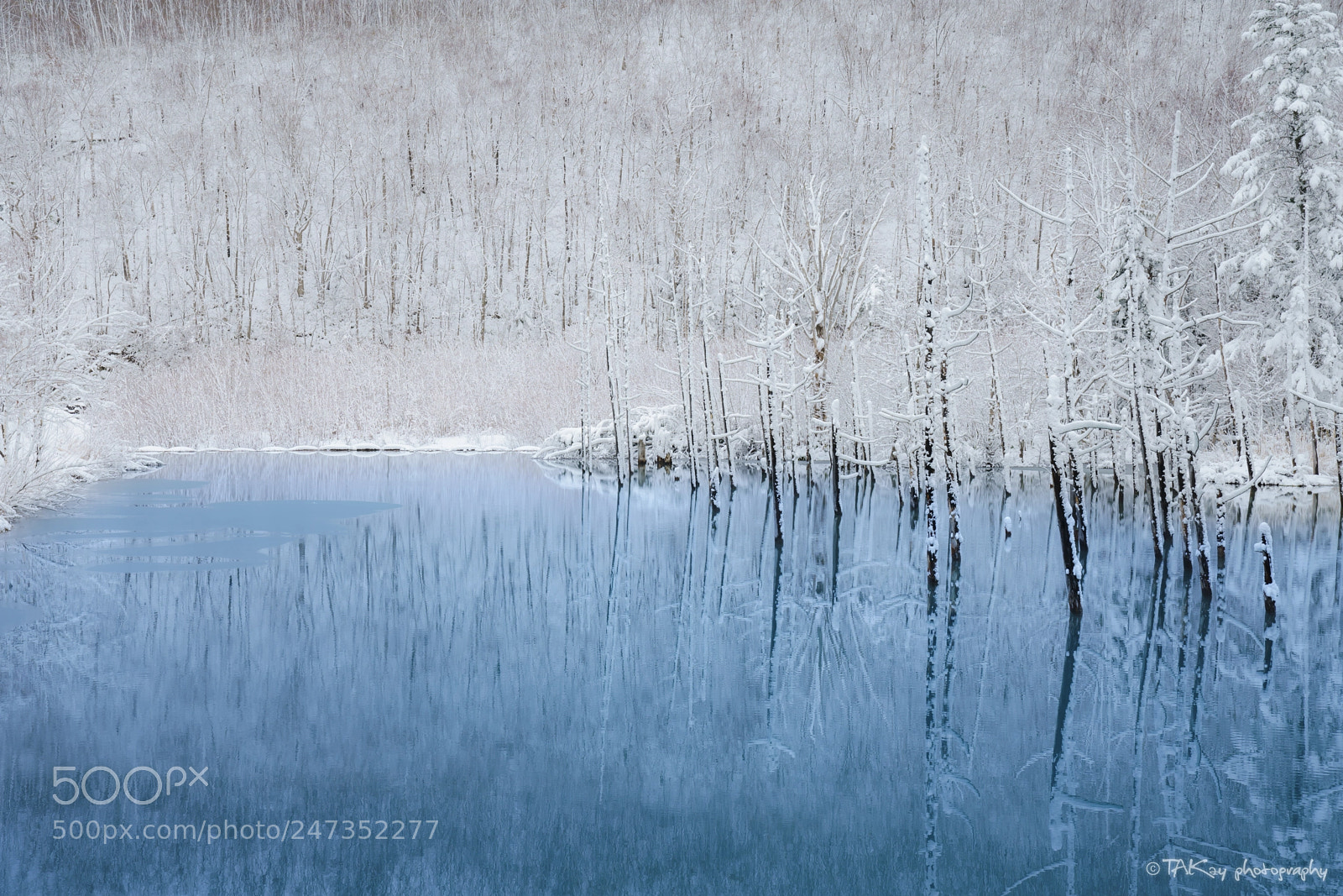 Sony a7R II sample photo. Blue art photography