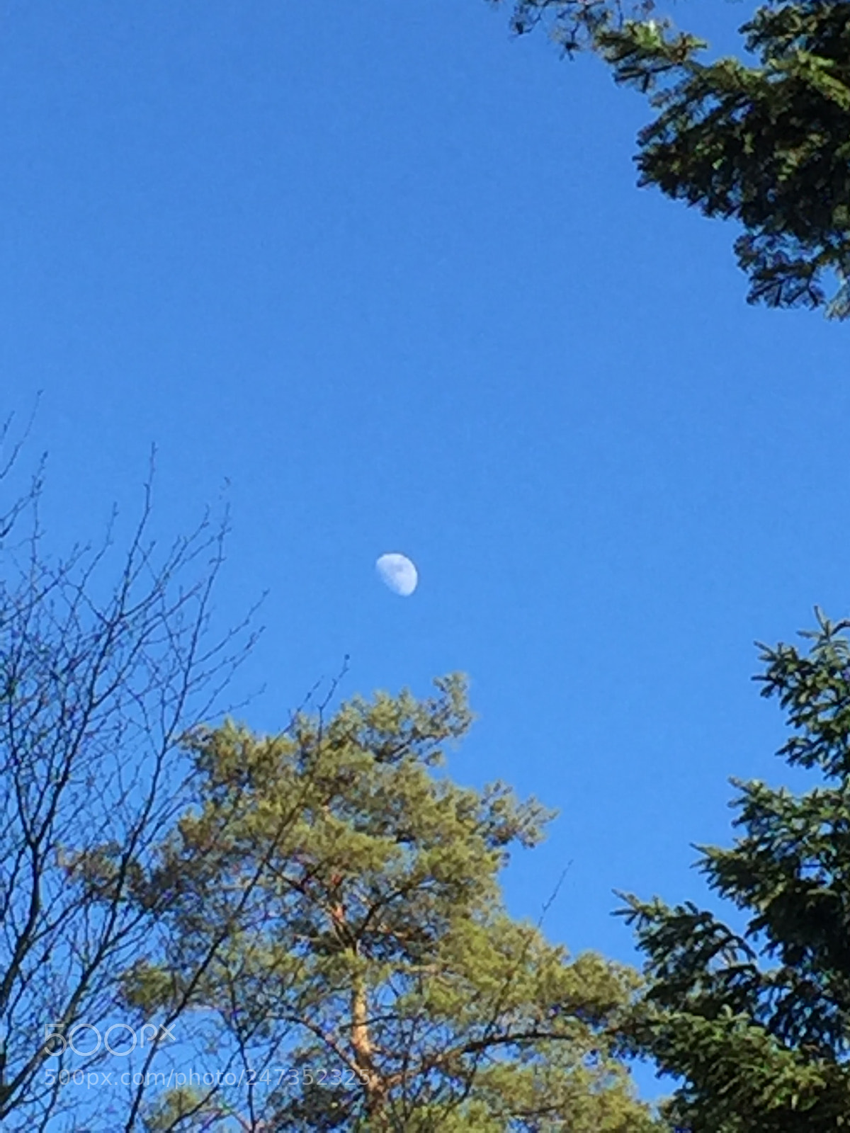 Apple iPhone 6 sample photo. Blue sky photography