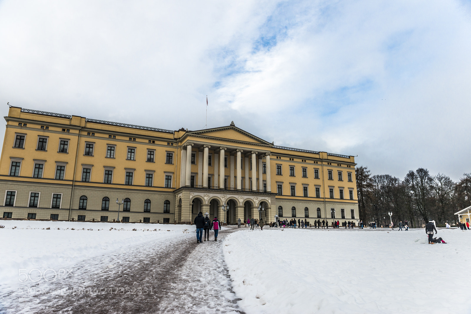 Nikon D800 sample photo. Oslo king's palace photography