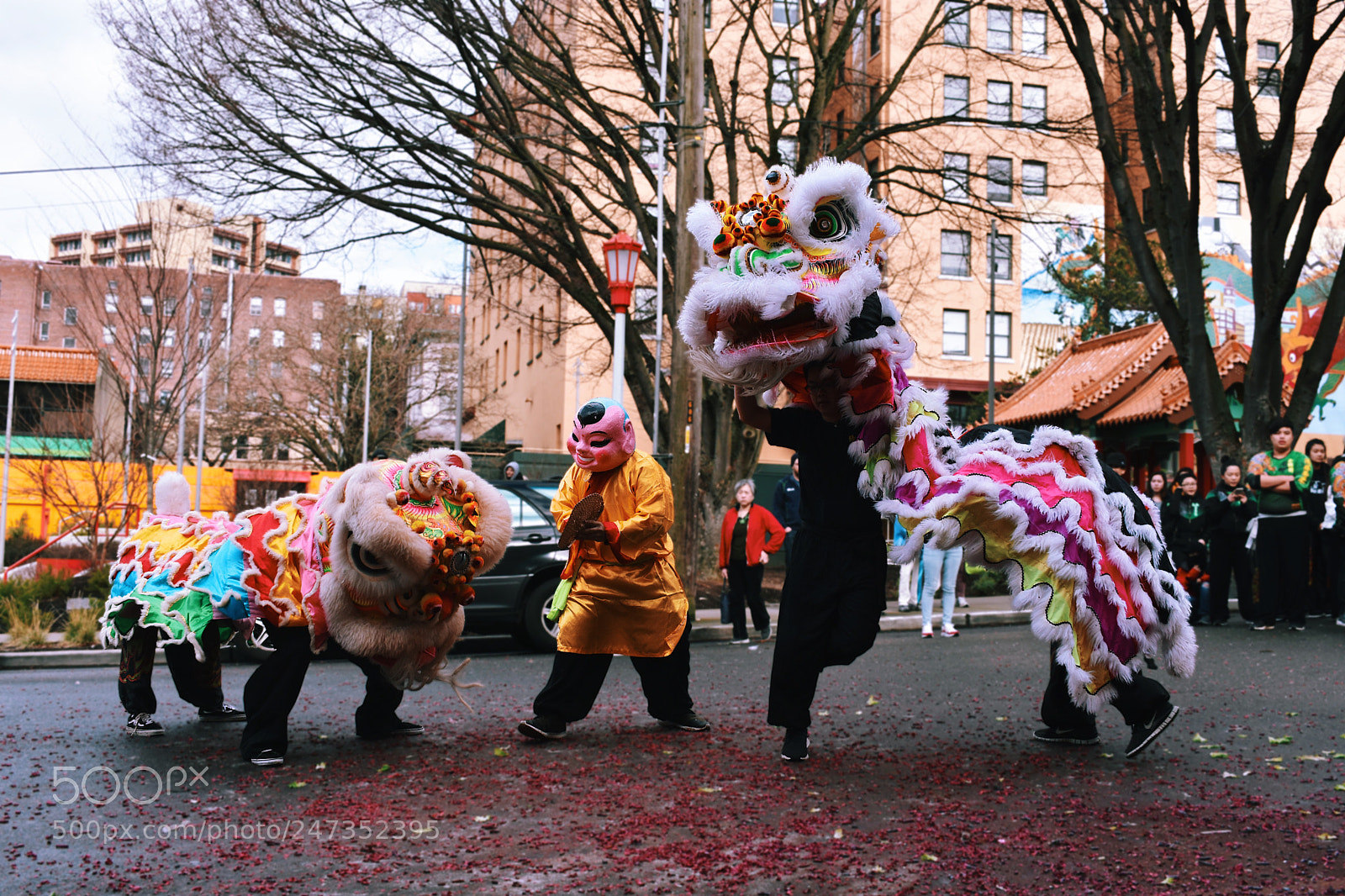 Nikon D7200 sample photo. Lion dance. photography