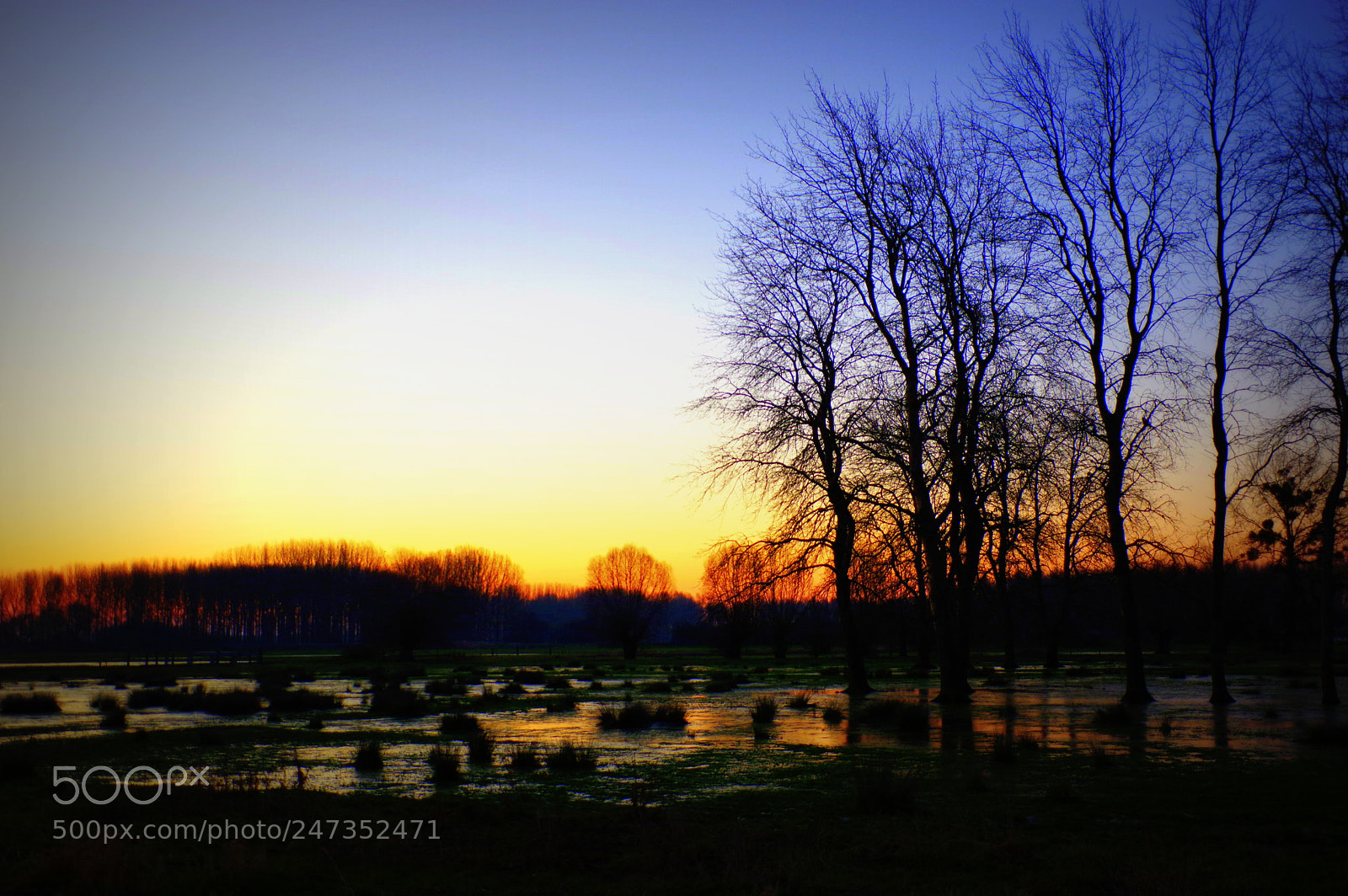 Pentax K-3 sample photo. Marais hivers photography