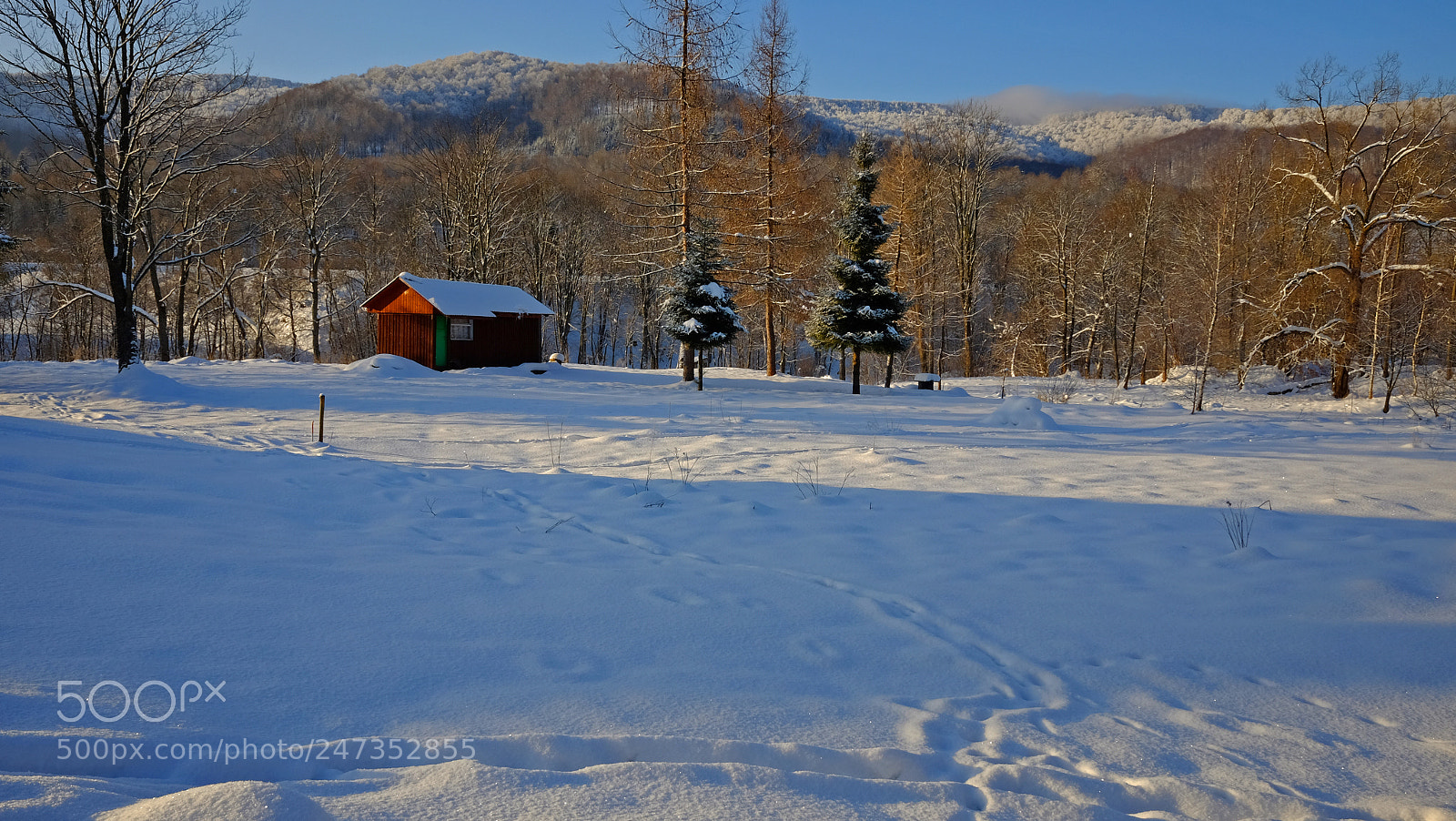 Fujifilm X70 sample photo. Cabin photography