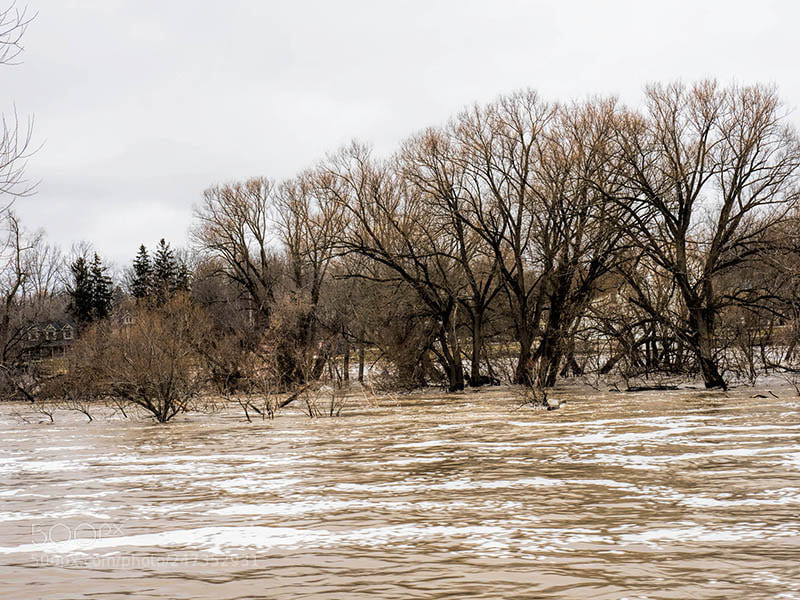 Olympus OM-D E-M1 Mark II sample photo. An island under water 1 photography