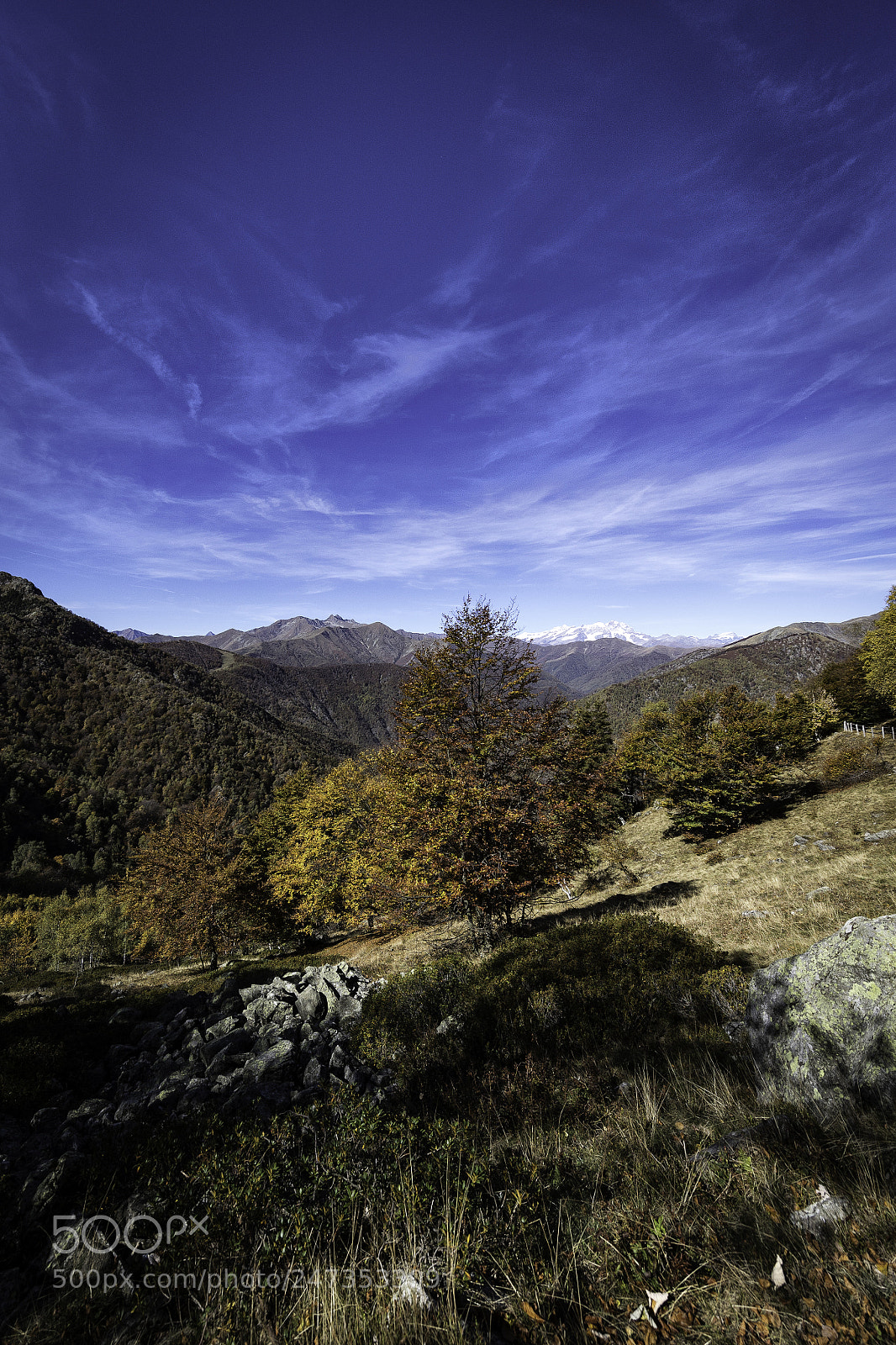Canon EOS-1D X Mark II sample photo. Panoramica zegna photography