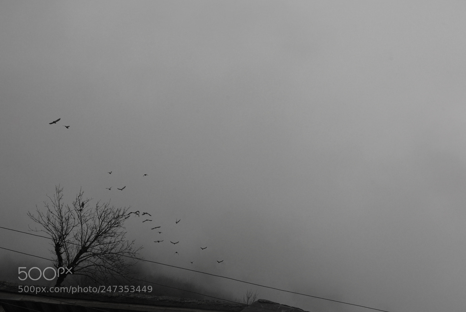 Nikon D7100 sample photo. Untitled photography