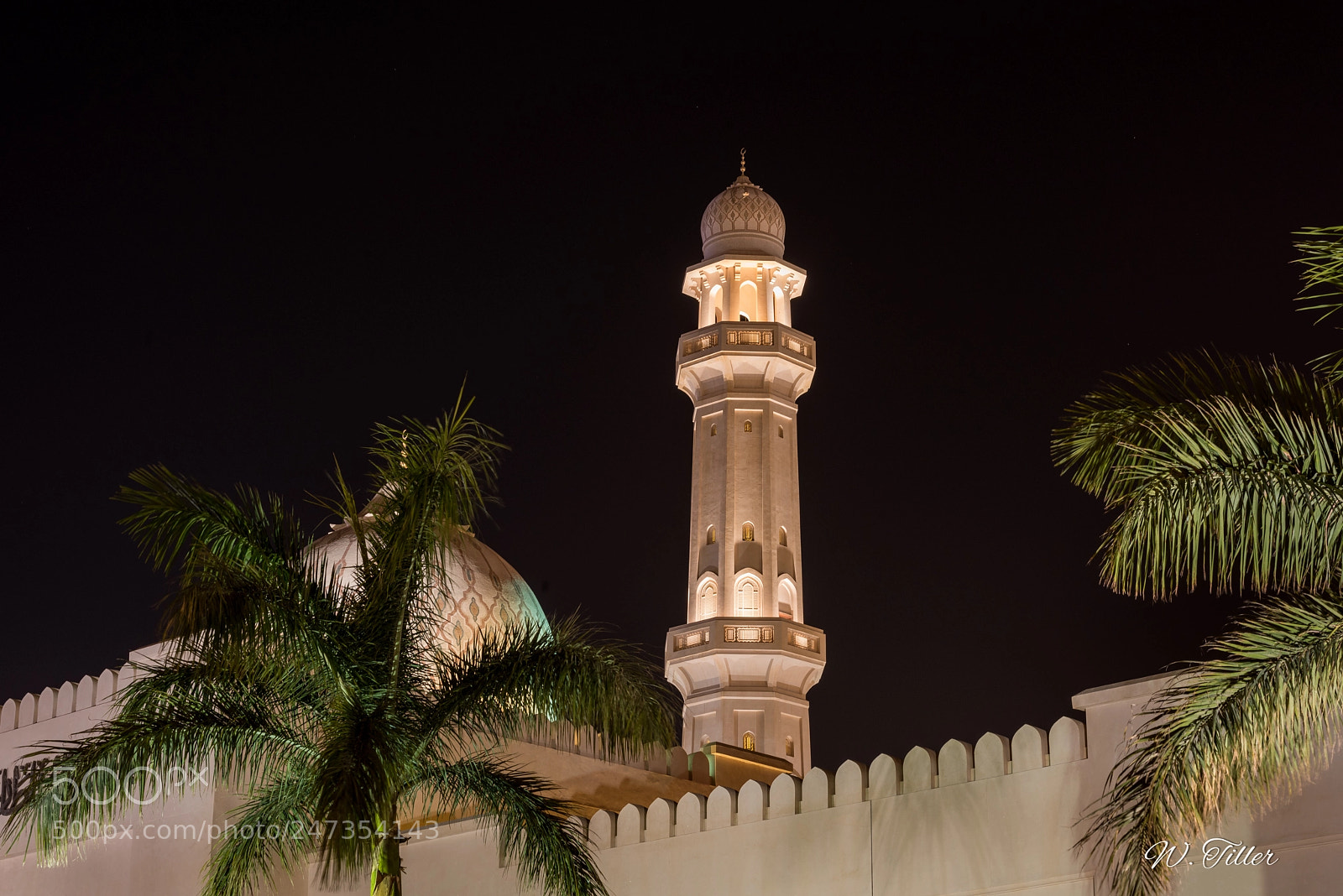 Nikon D810 sample photo. Salalah - sultan qaboos photography