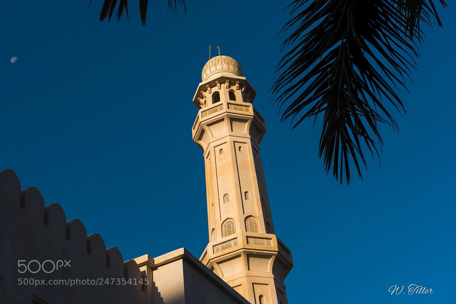Nikon D810 sample photo. Salalah - sultan qaboos photography