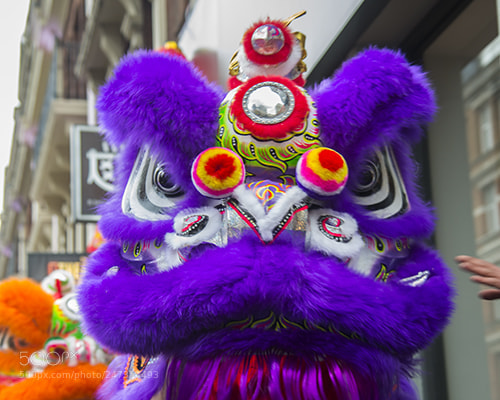 Nikon D600 sample photo. Chinese new year 2017 photography