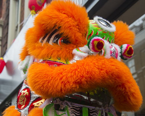 Nikon D600 sample photo. Chinese new year 2017 photography