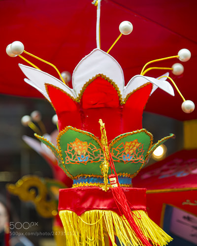 Nikon D600 sample photo. Chinese new year 2017 photography