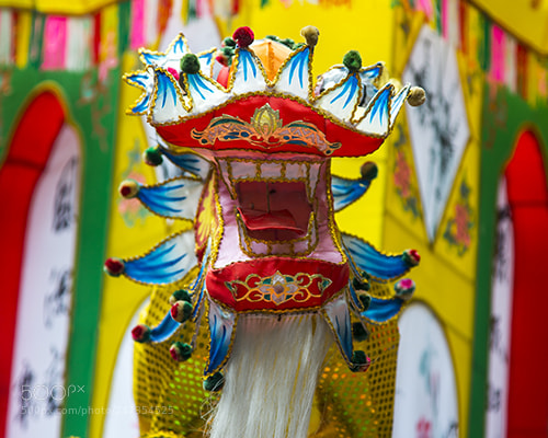Nikon D600 sample photo. Chinese new year 2017 photography