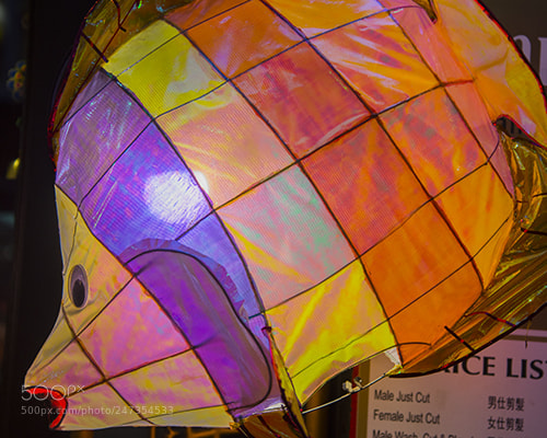 Nikon D600 sample photo. Chinese new year 2017 photography