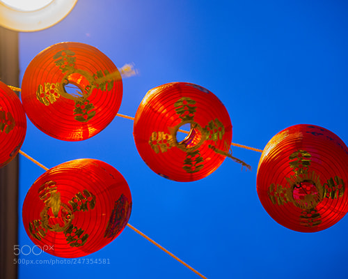 Nikon D600 sample photo. Chinese new year 2017 photography