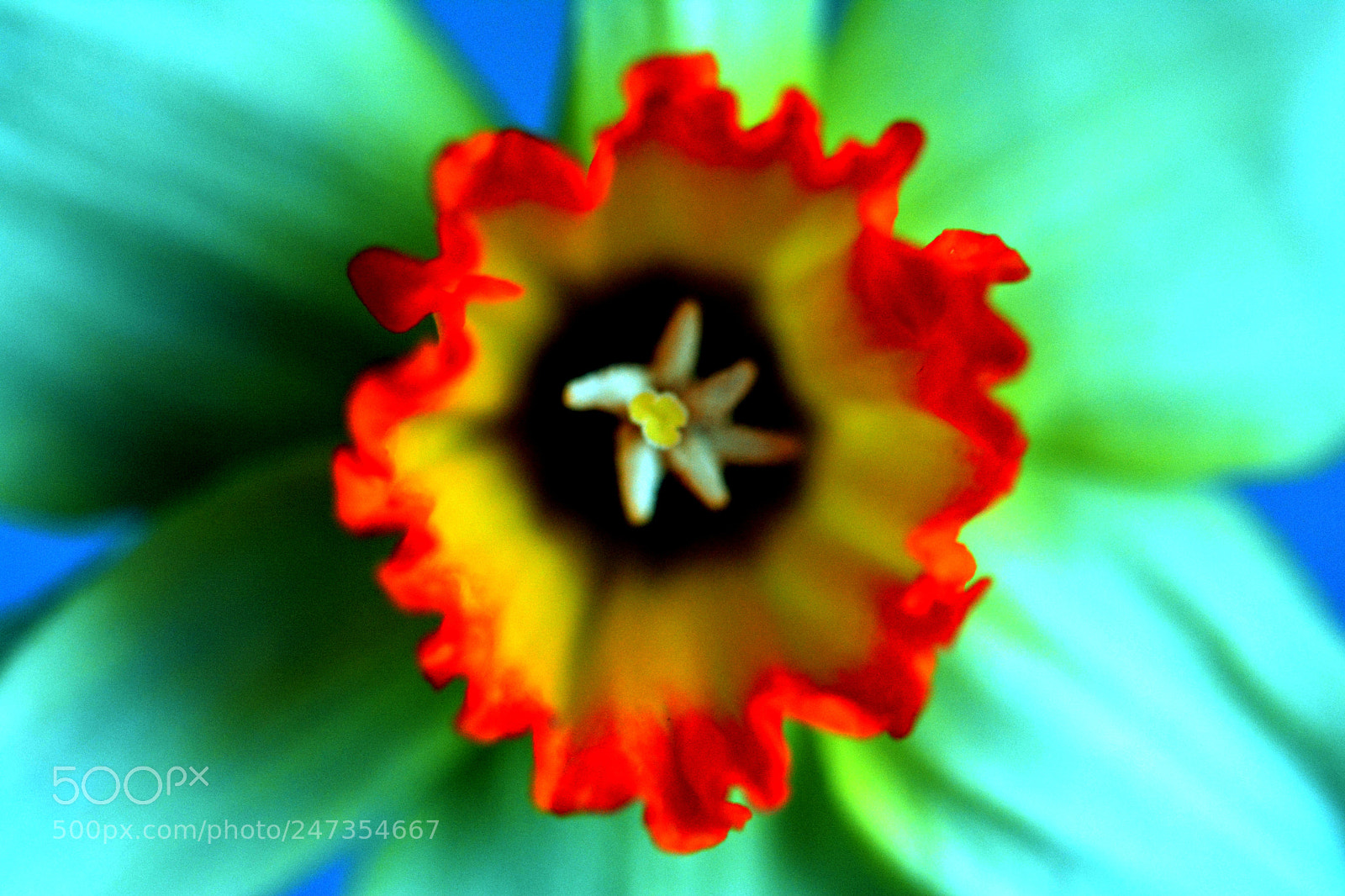 Nikon D5200 sample photo. Untitled photography