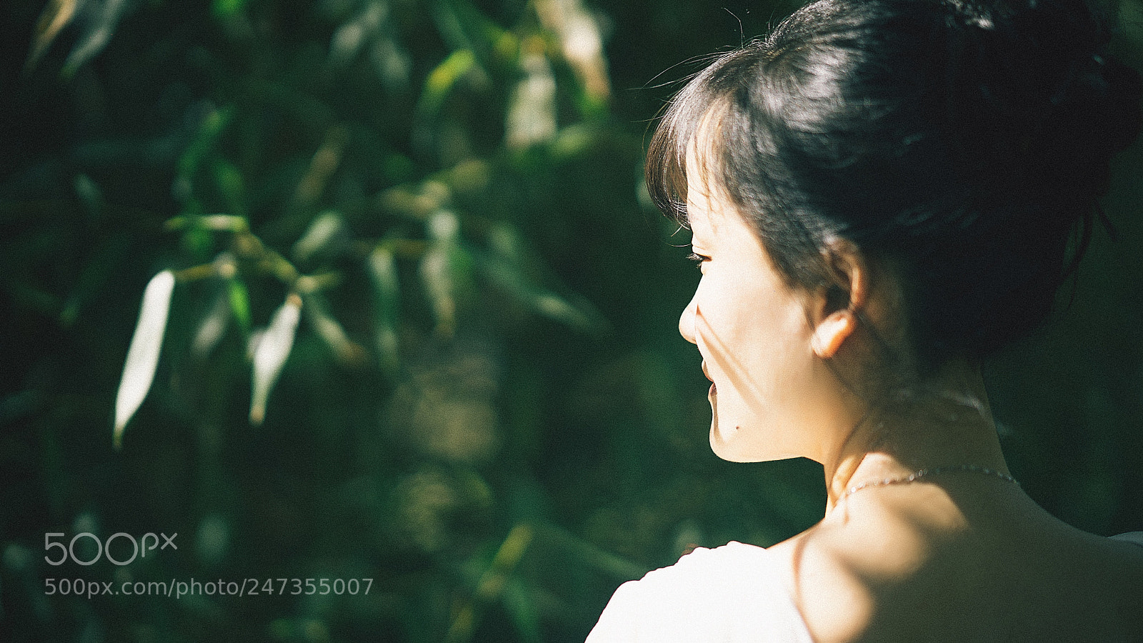 Sony a7 II sample photo. Untitled photography
