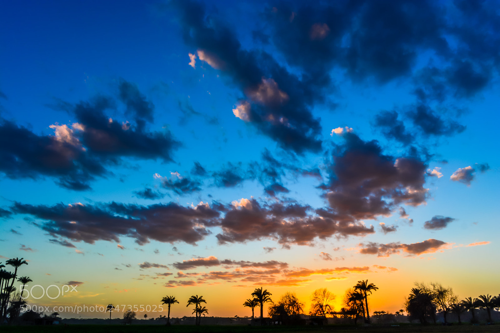 Nikon D5200 sample photo. Sunset photography