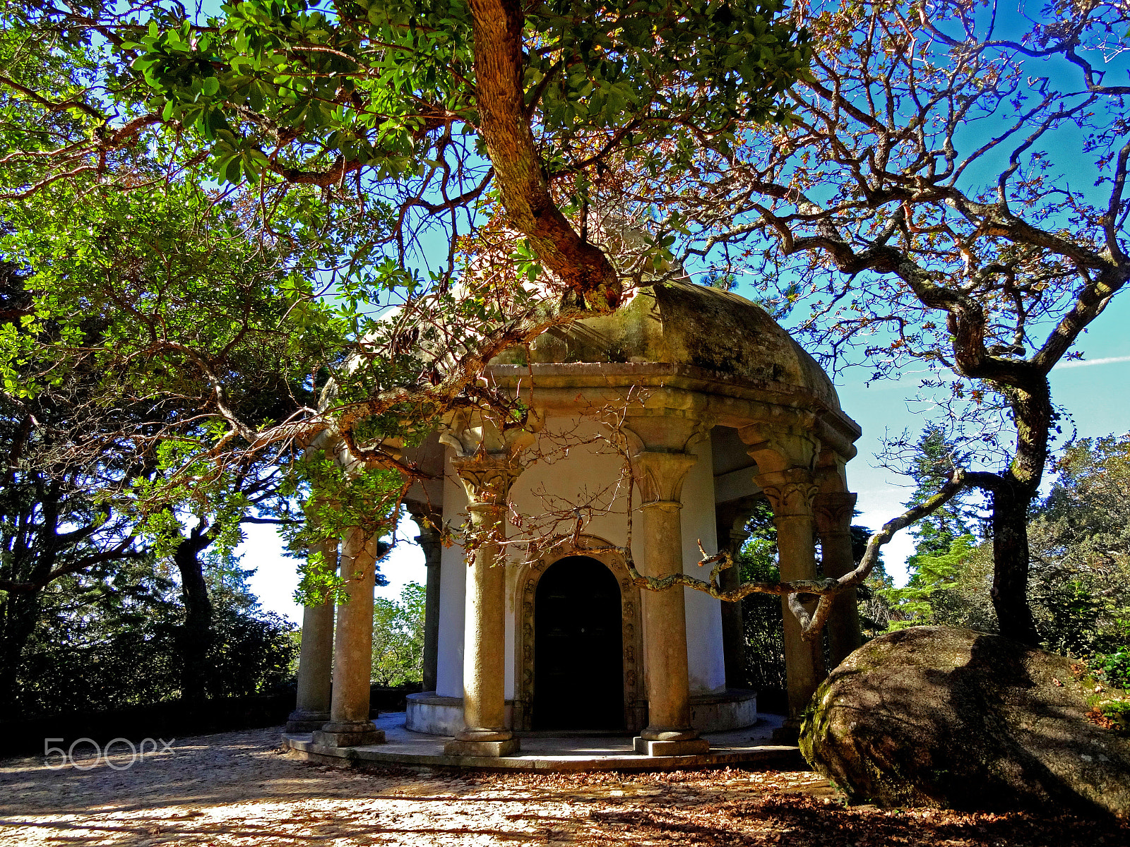 Sony DSC-WX200 sample photo. Garden of palácio nacional da pena, portugal photography