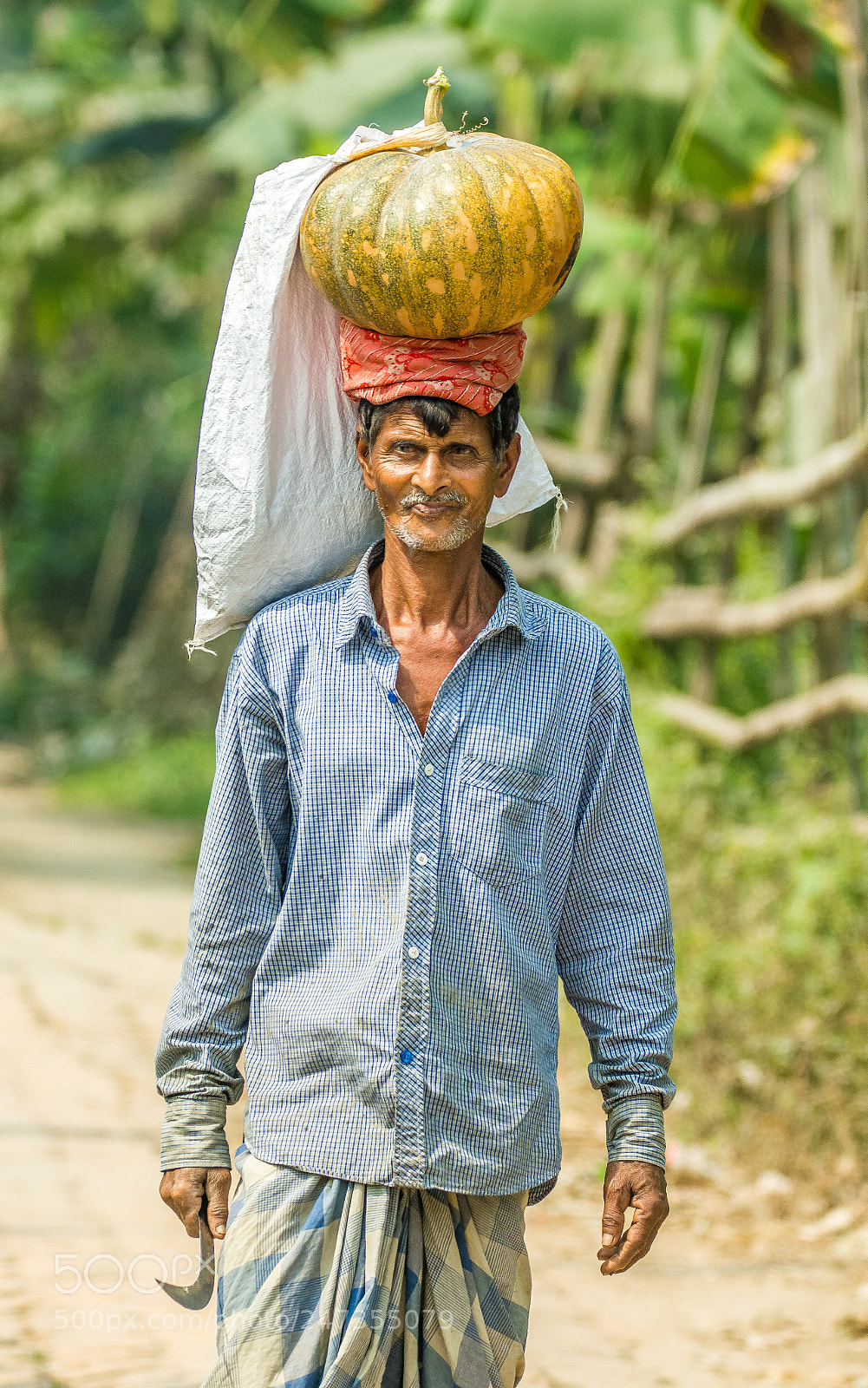 Nikon D7100 sample photo. Untitled photography