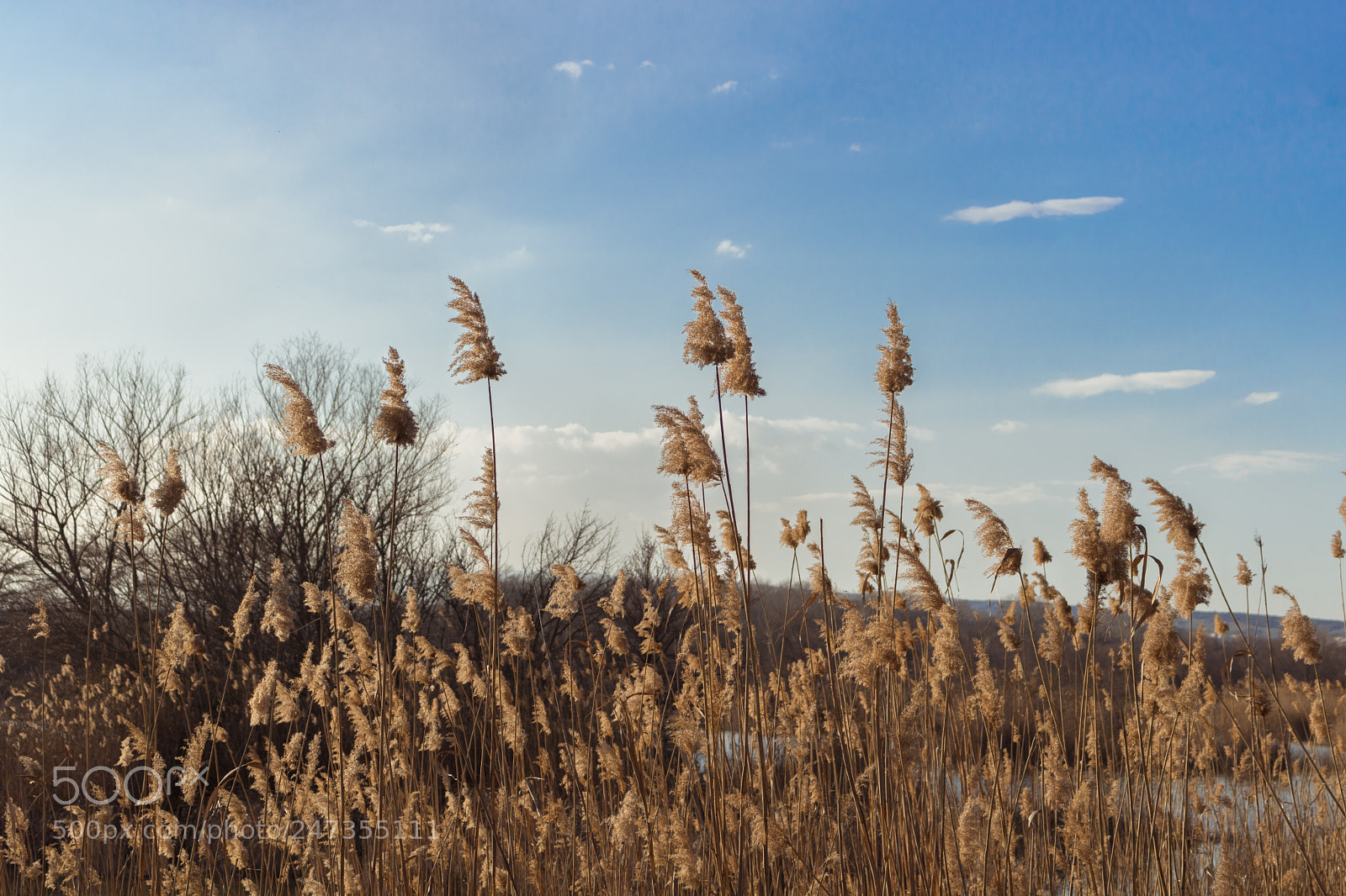 Canon EOS 750D (EOS Rebel T6i / EOS Kiss X8i) sample photo. Untitled photography