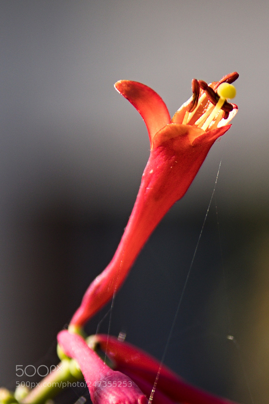 Canon EOS 77D (EOS 9000D / EOS 770D) sample photo. Untitled photography