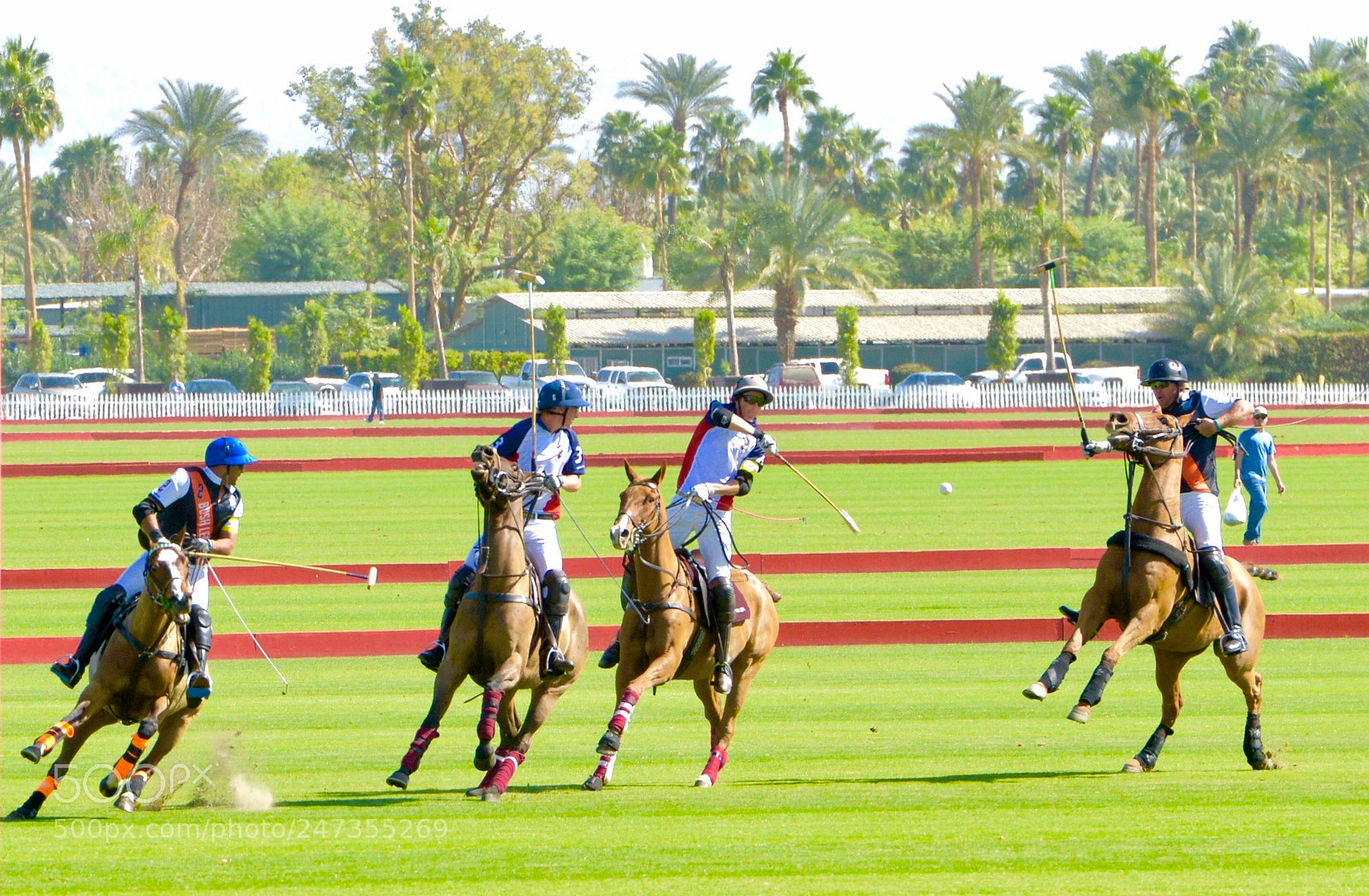 Nikon D800 sample photo. Horseplay photography