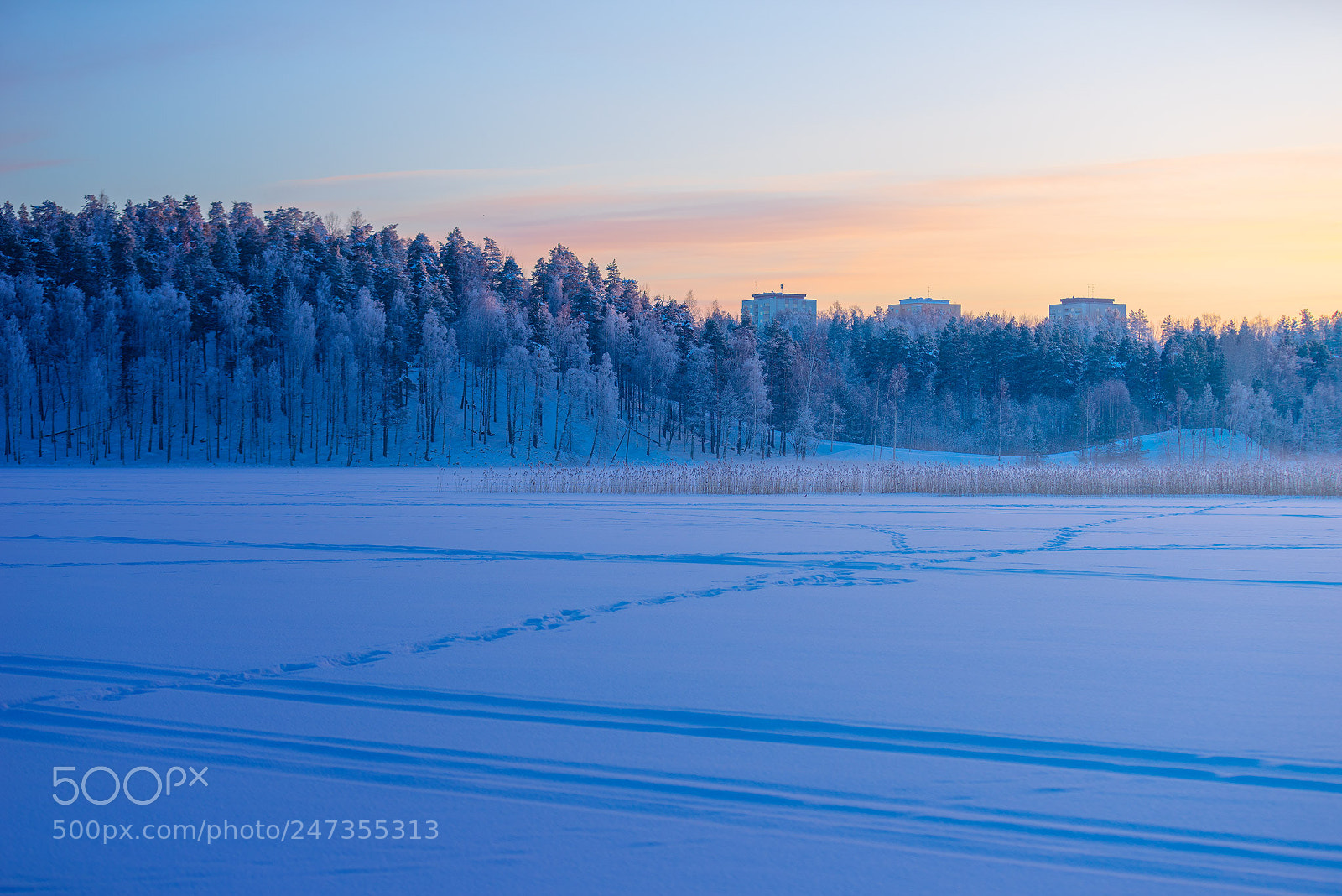 Sony a7R sample photo. So cold photography
