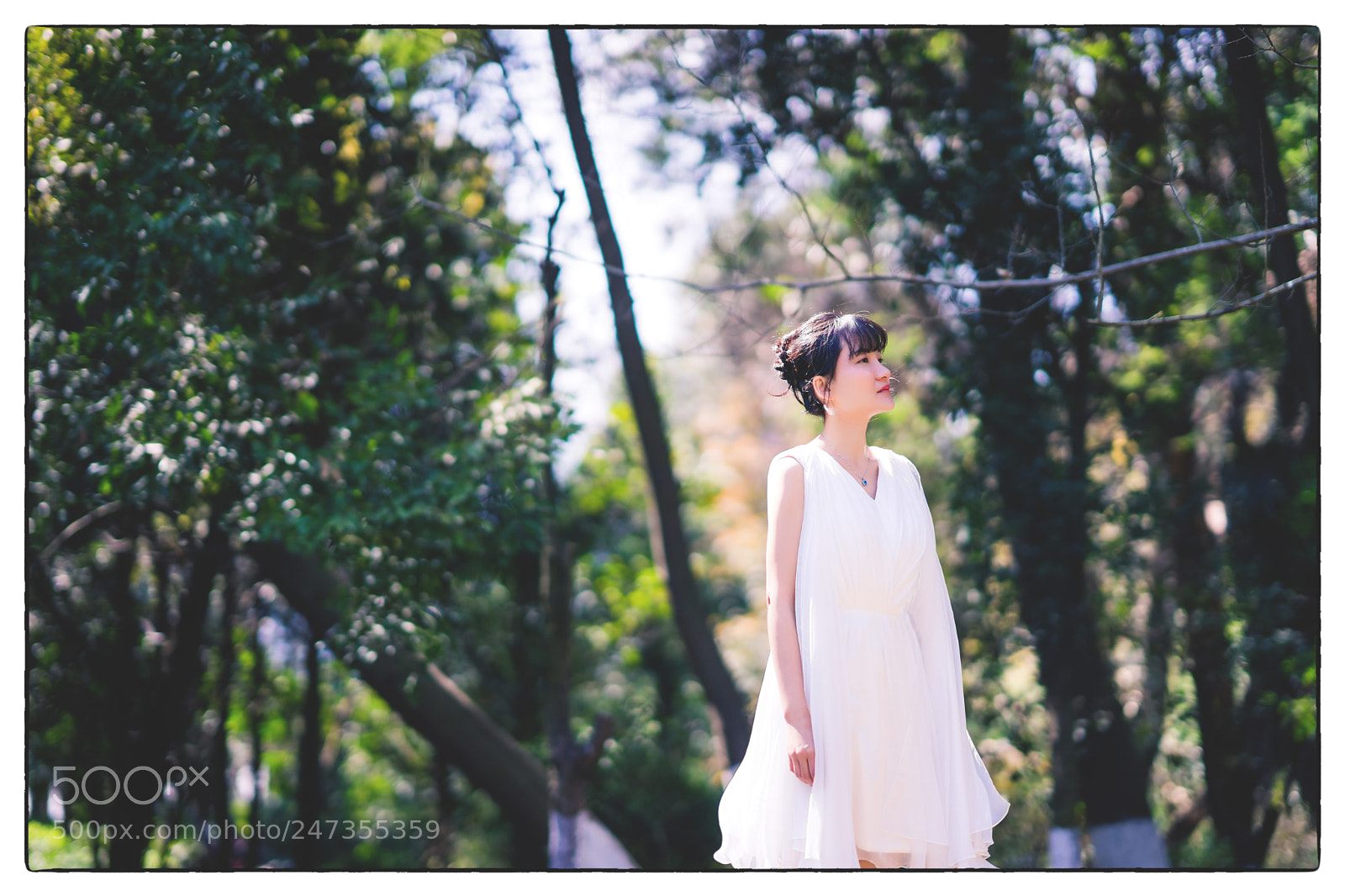 Sony a7 II sample photo. Untitled photography