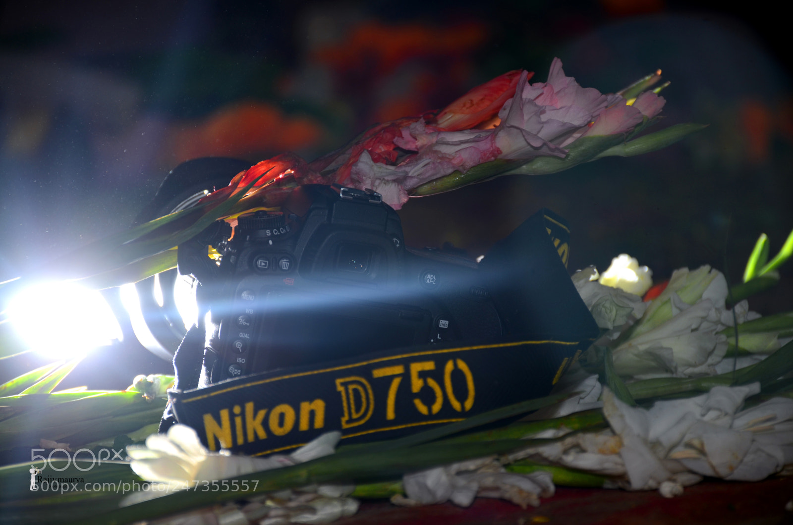 Nikon D7000 sample photo. Rising nikon photography