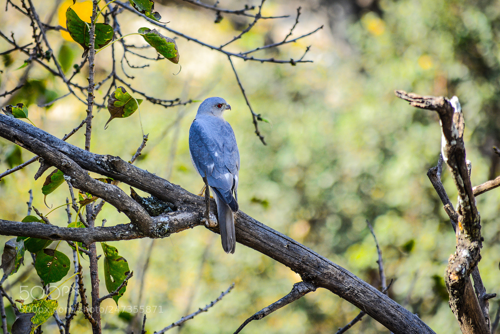 Nikon D5200 sample photo. Untitled photography