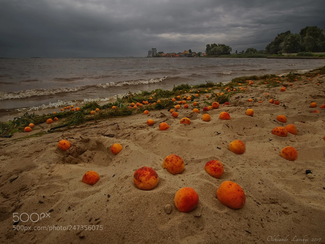 Olympus E-3 sample photo. Apricot beach photography