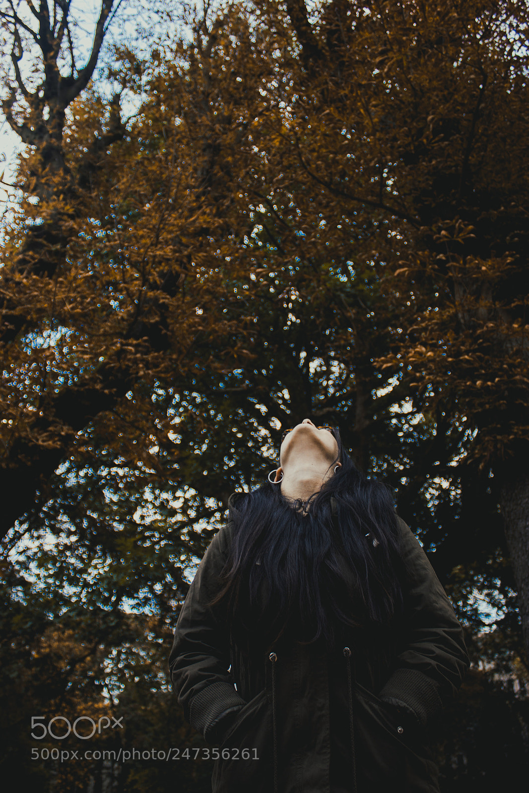 Canon EOS 600D (Rebel EOS T3i / EOS Kiss X5) sample photo. Thoughts in autumn photography