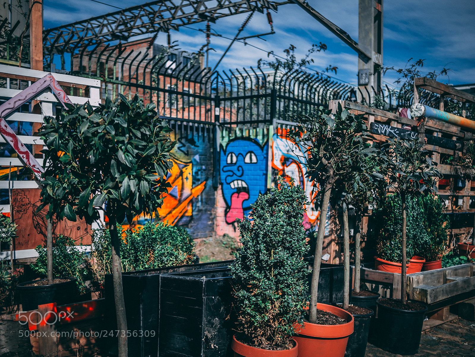 Panasonic Lumix DMC-G7 sample photo. Streetart garden photography