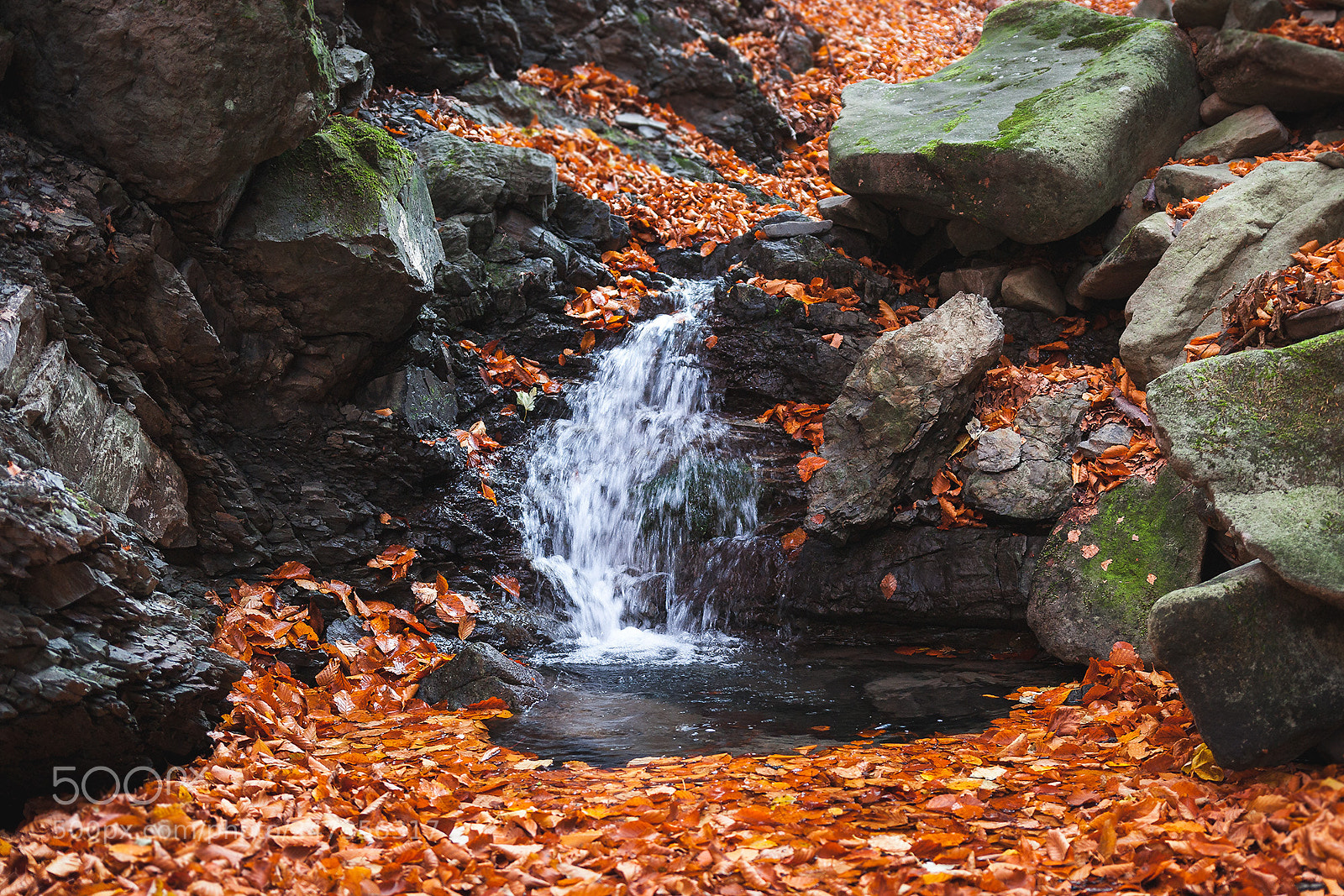 Canon EOS 450D (EOS Rebel XSi / EOS Kiss X2) sample photo. Little creek in beskydy photography