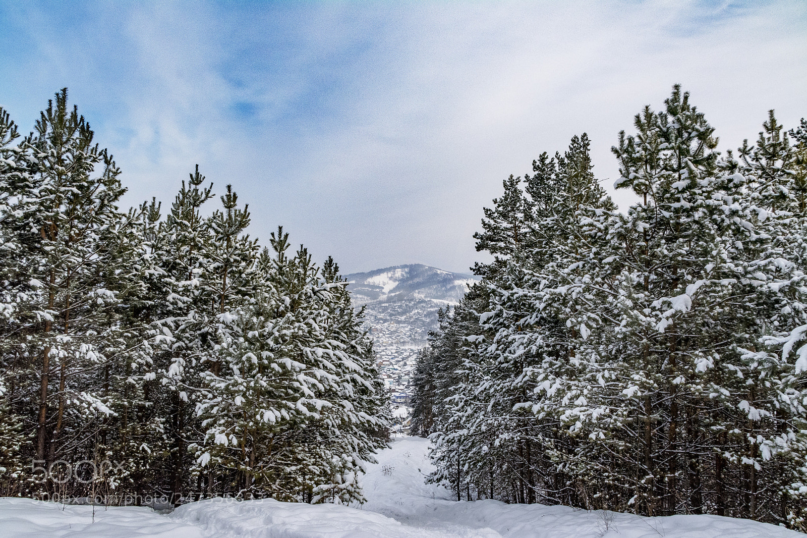 Nikon D5200 sample photo. Winter path photography