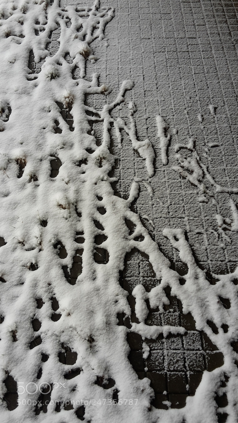 Samsung Galaxy S5 Mini sample photo. Snow patterns photography