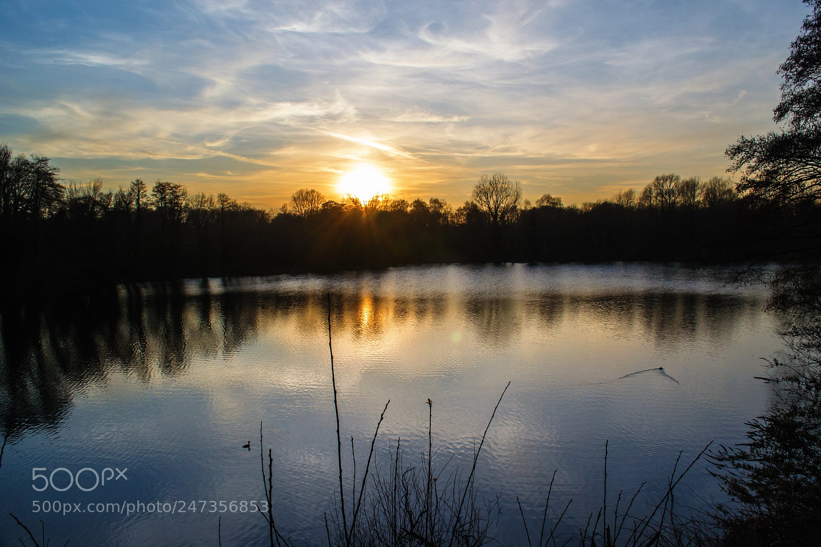Nikon D3100 sample photo. Beauty of sevenoaks photography