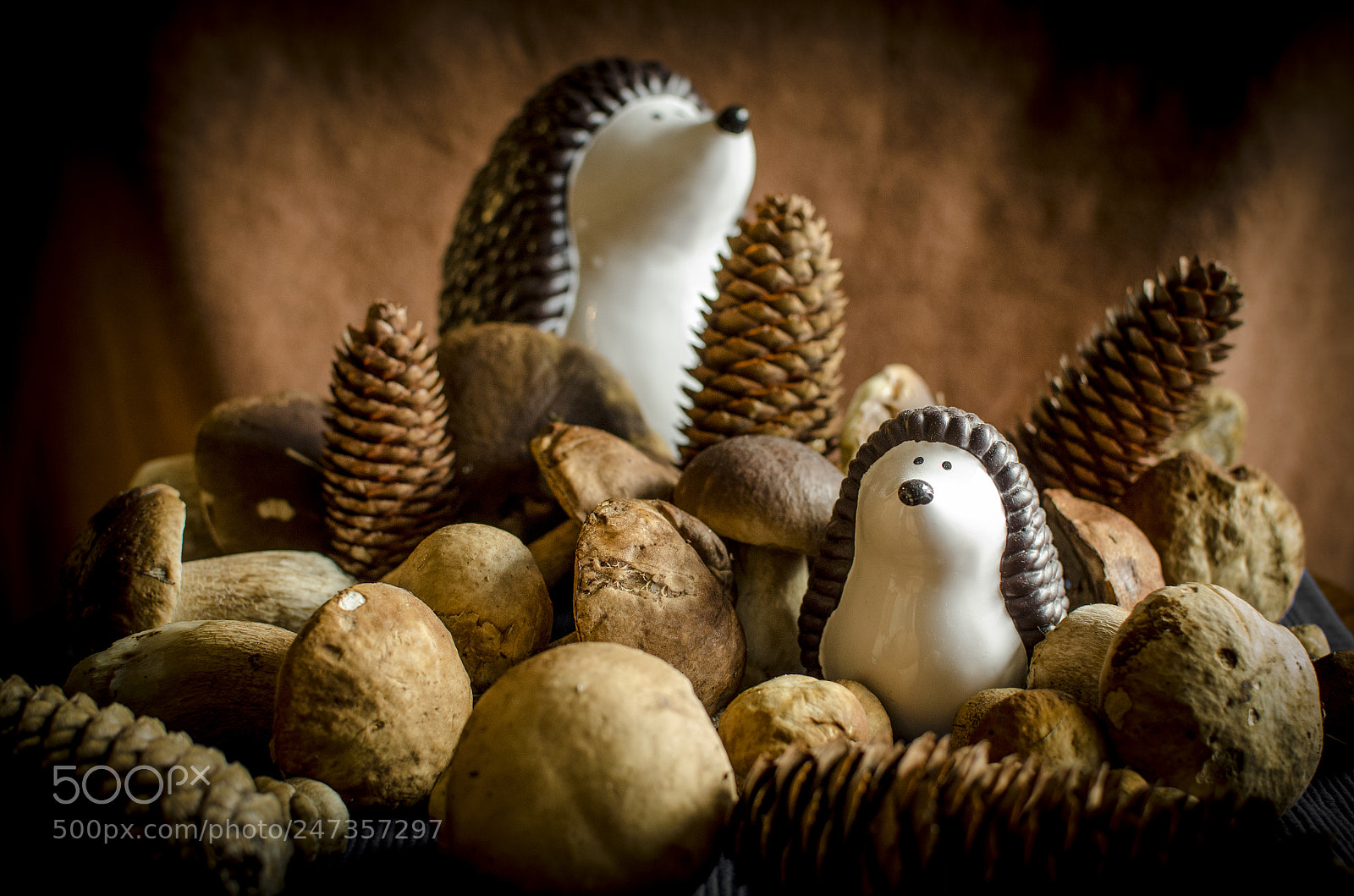 Nikon D5100 sample photo. Autumn collection photography