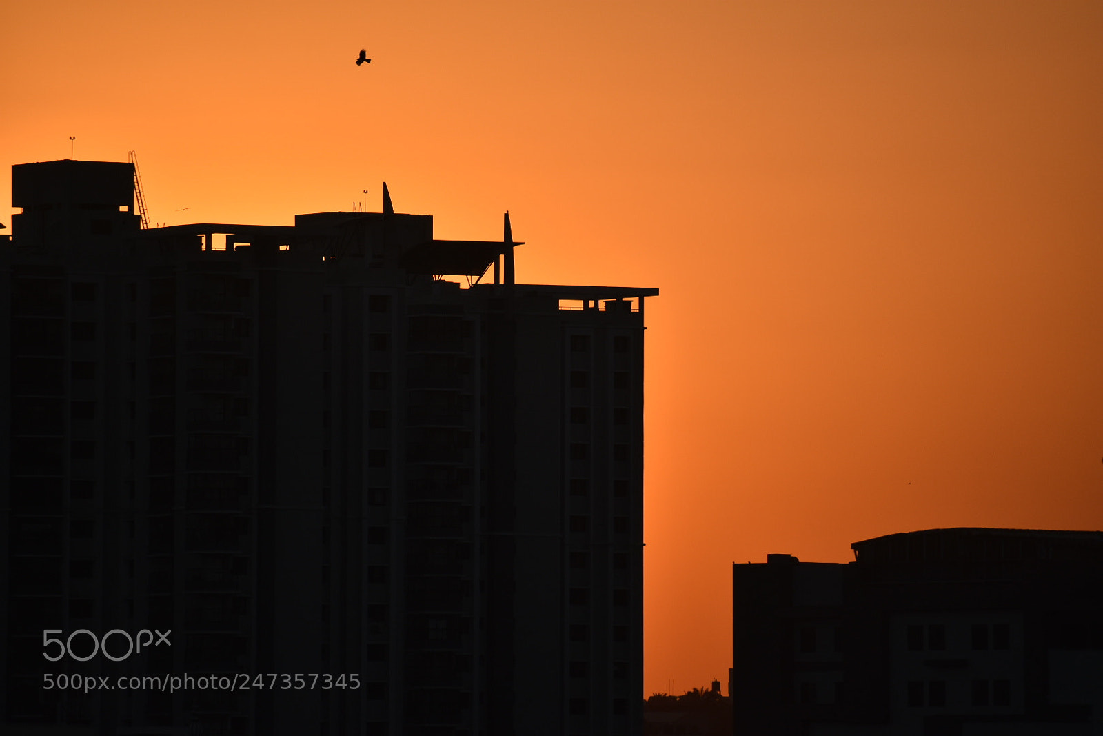 Nikon D3400 sample photo. Sunset at the city photography