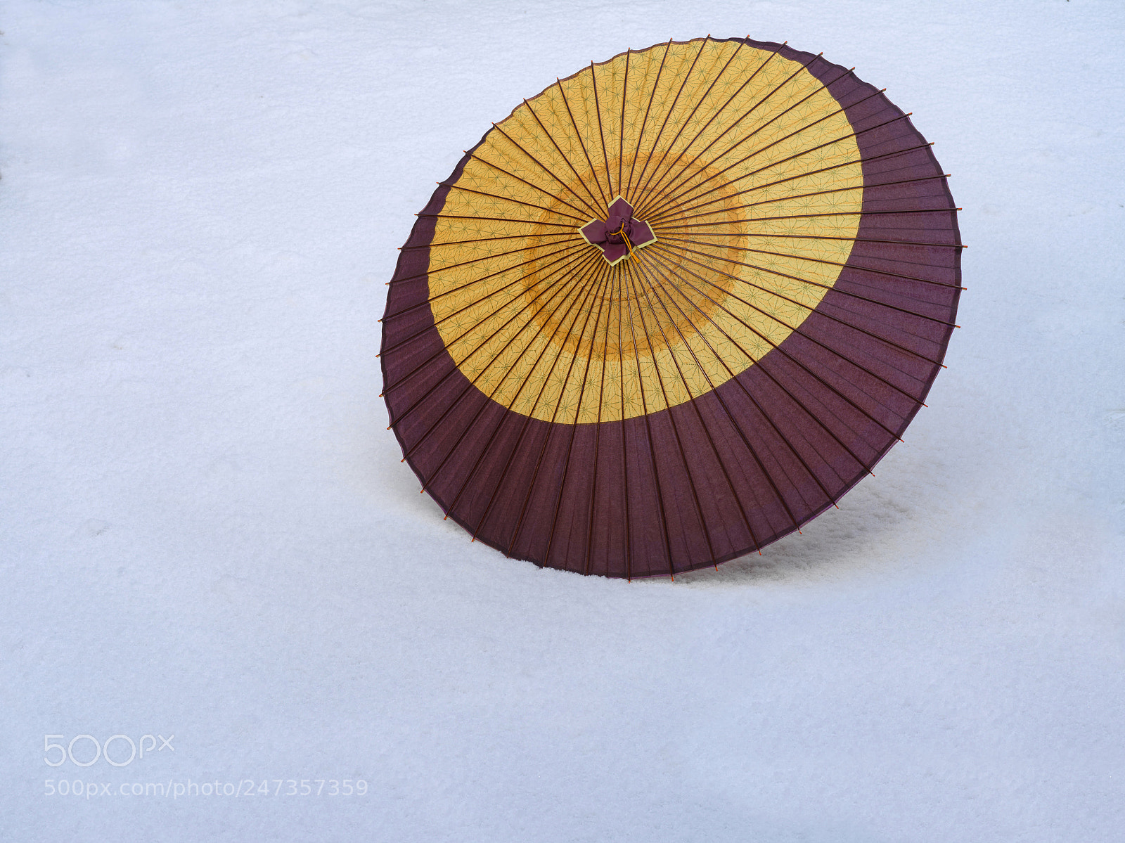 Hasselblad X1D-50c sample photo. Japanese umbrella in the photography