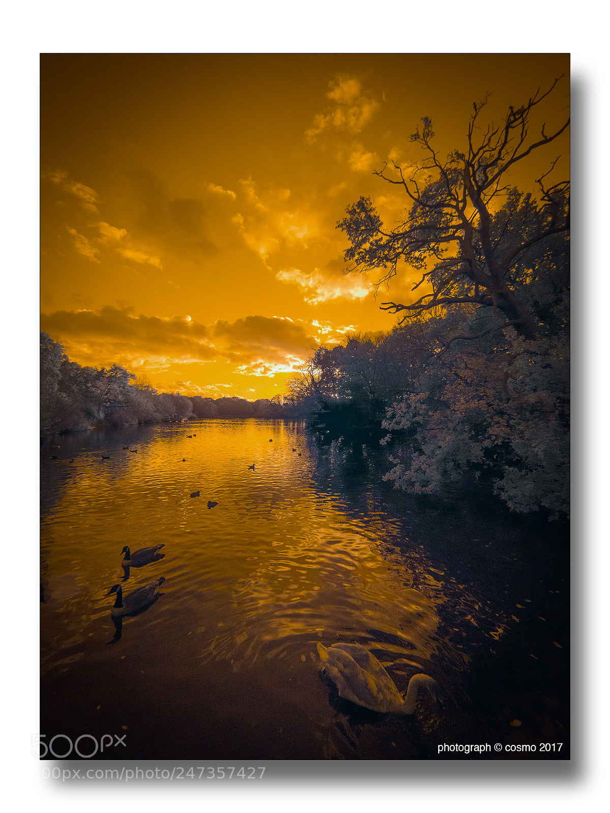 Panasonic Lumix DMC-GX8 sample photo. Epic epping sunset. photography