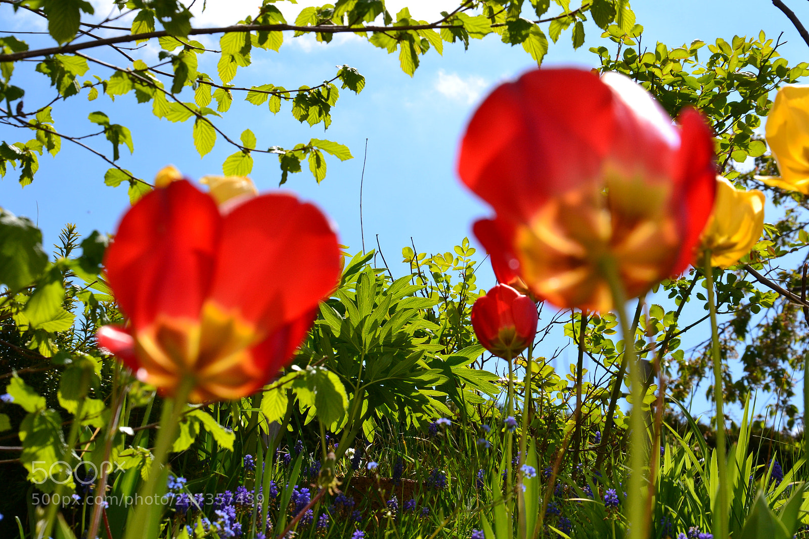Nikon D3100 sample photo. Untitled photography