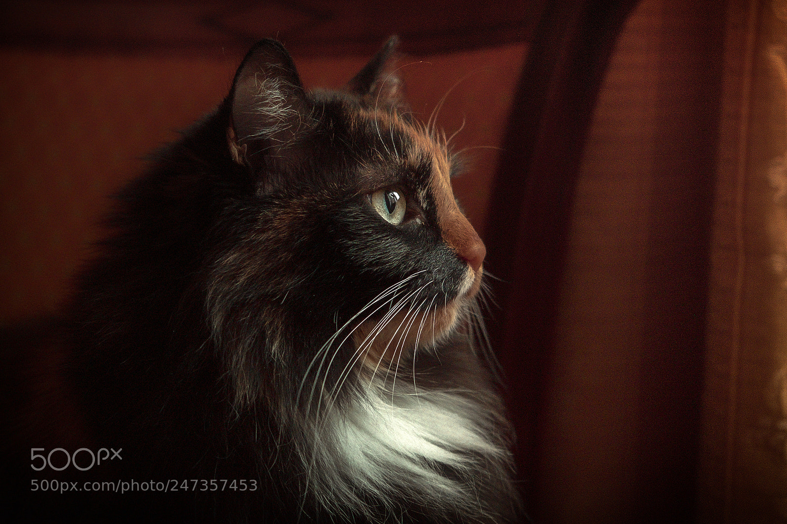 Fujifilm X-T1 sample photo. I'm waiting for... photography