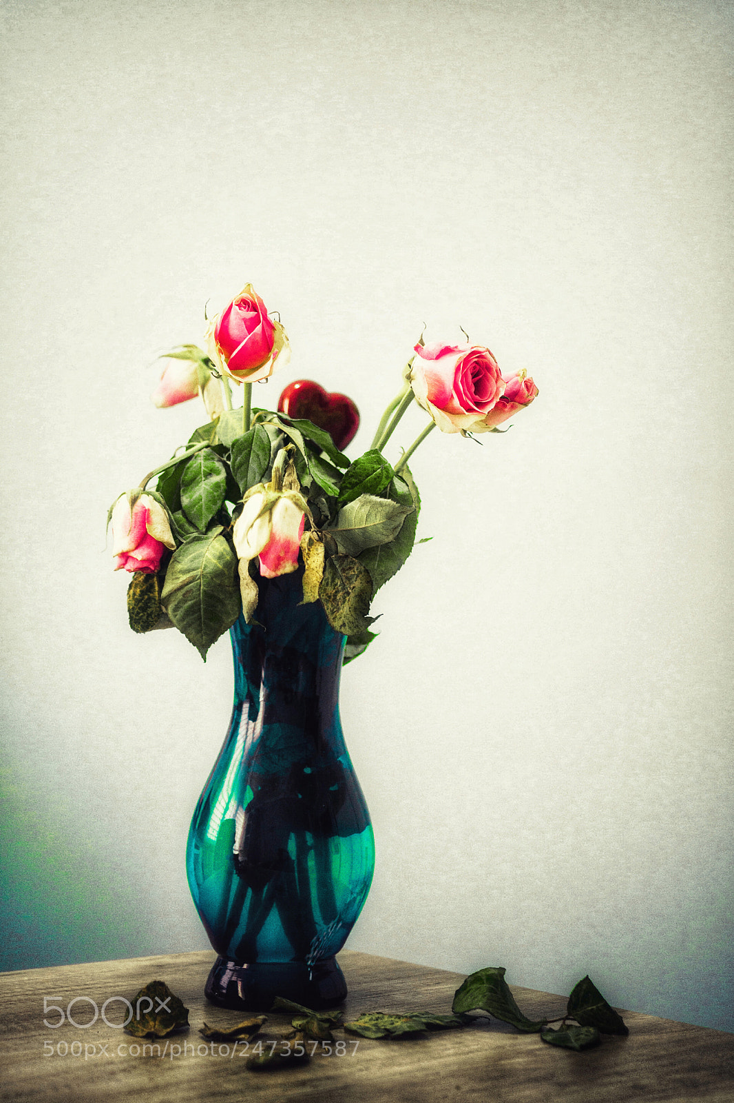 Nikon D7100 sample photo. Roses photography