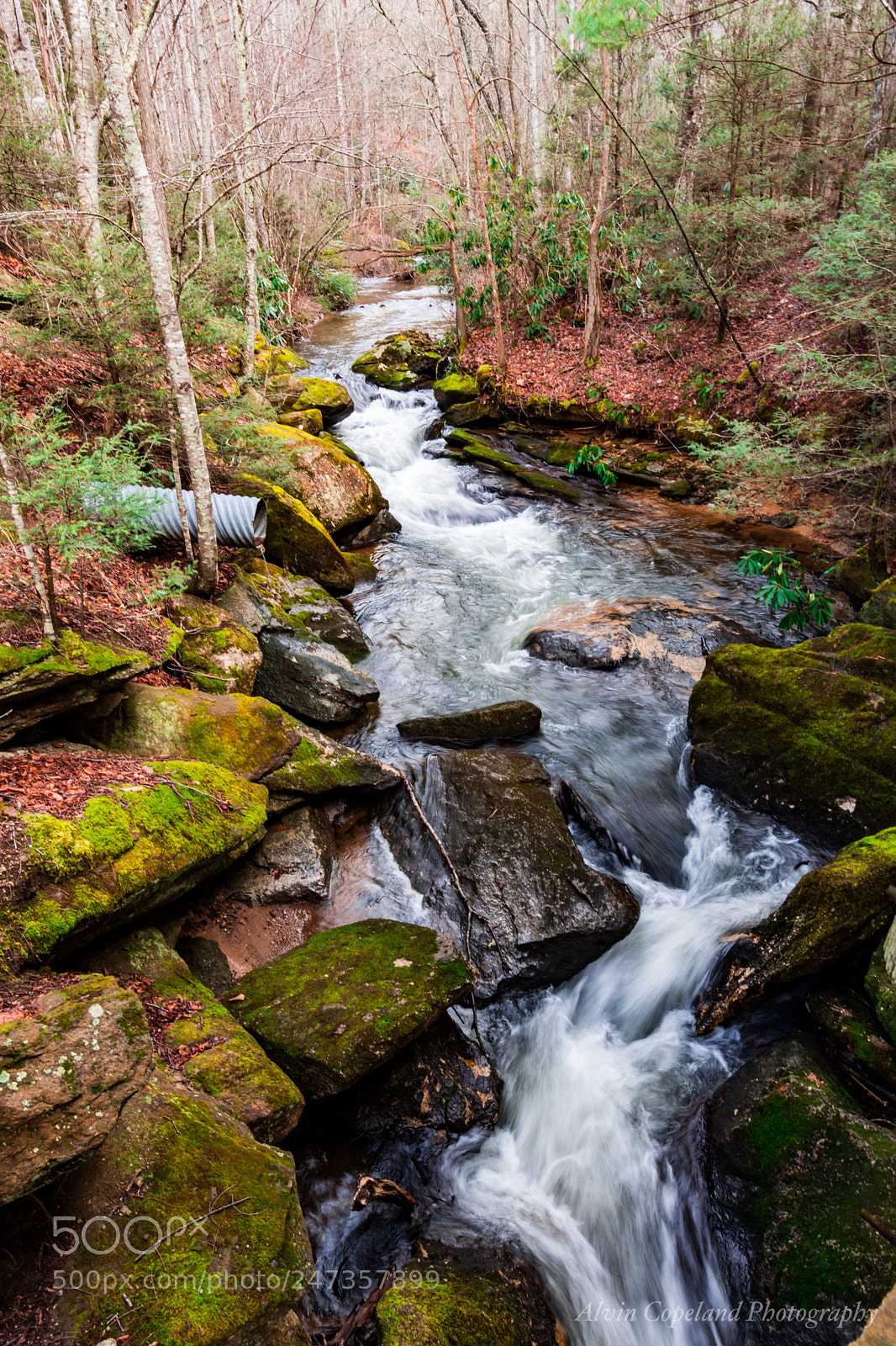 Nikon D7200 sample photo. Flow photography