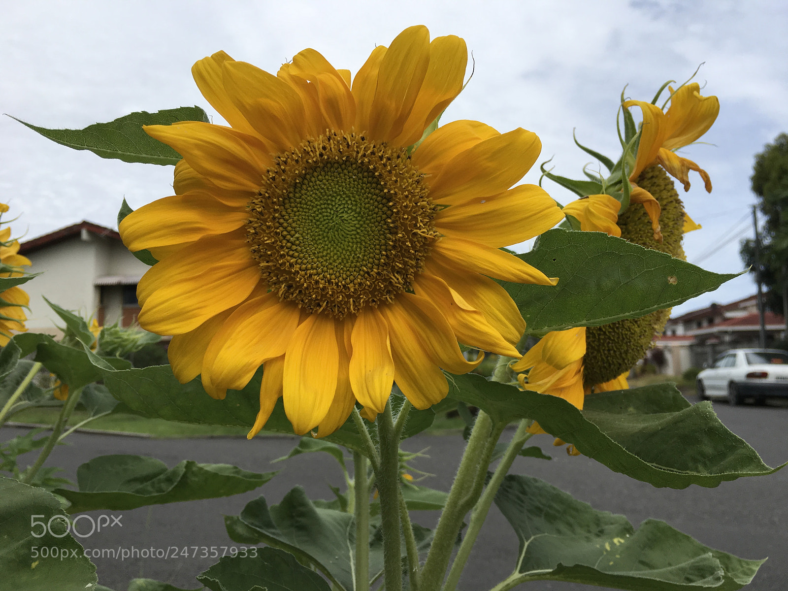Apple iPad Pro sample photo. Untitled photography