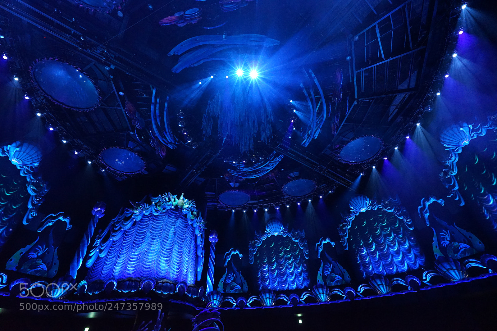 Sony a7 II sample photo. Under the sea at photography