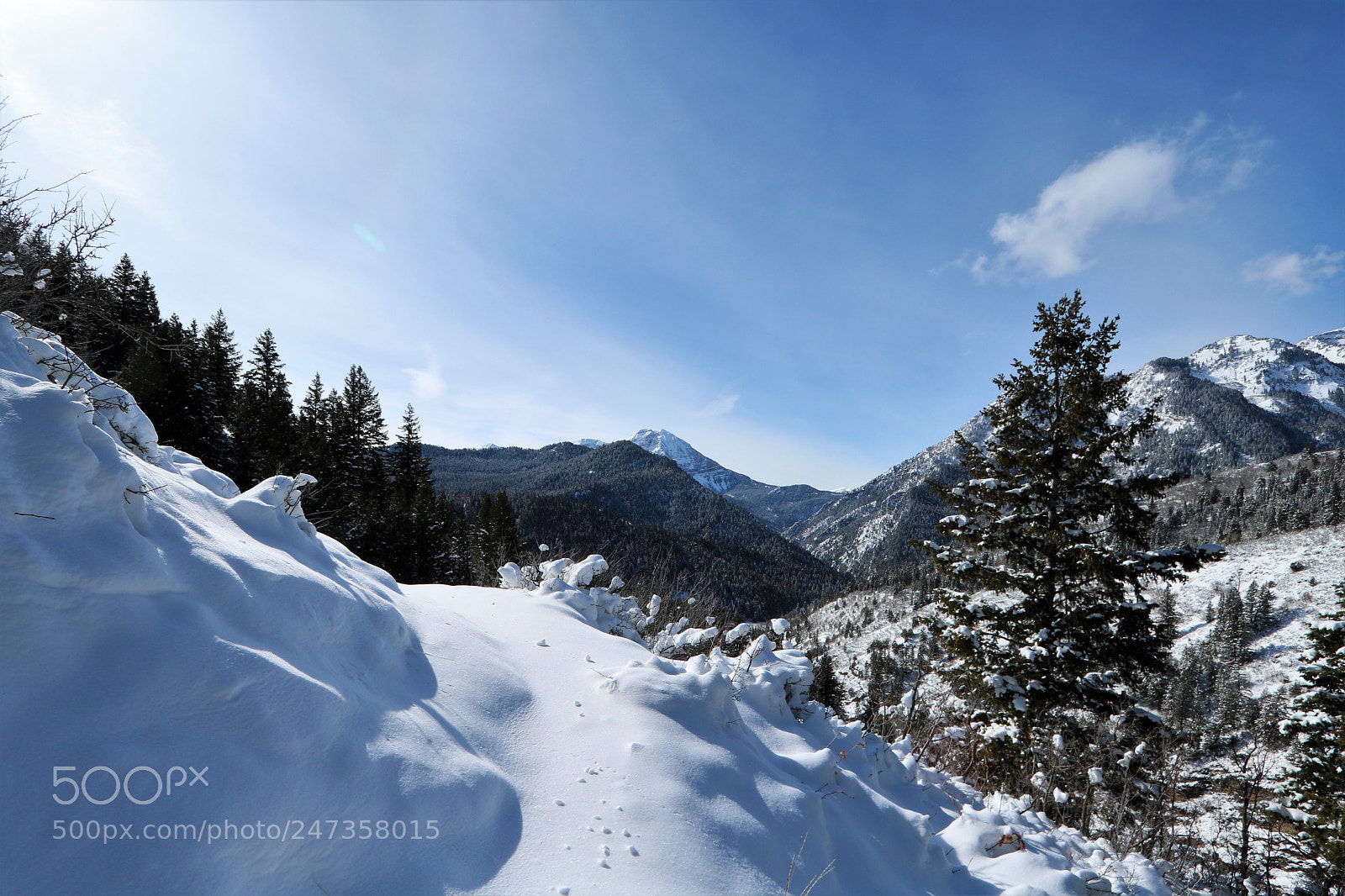 Canon EOS 760D (EOS Rebel T6s / EOS 8000D) sample photo. Up the path photography