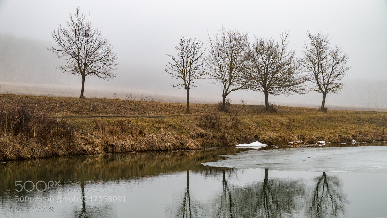 Canon EOS 6D Mark II sample photo. Утро туманное.. photography