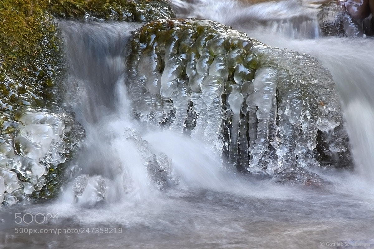 Nikon D7200 sample photo. The ice of last photography