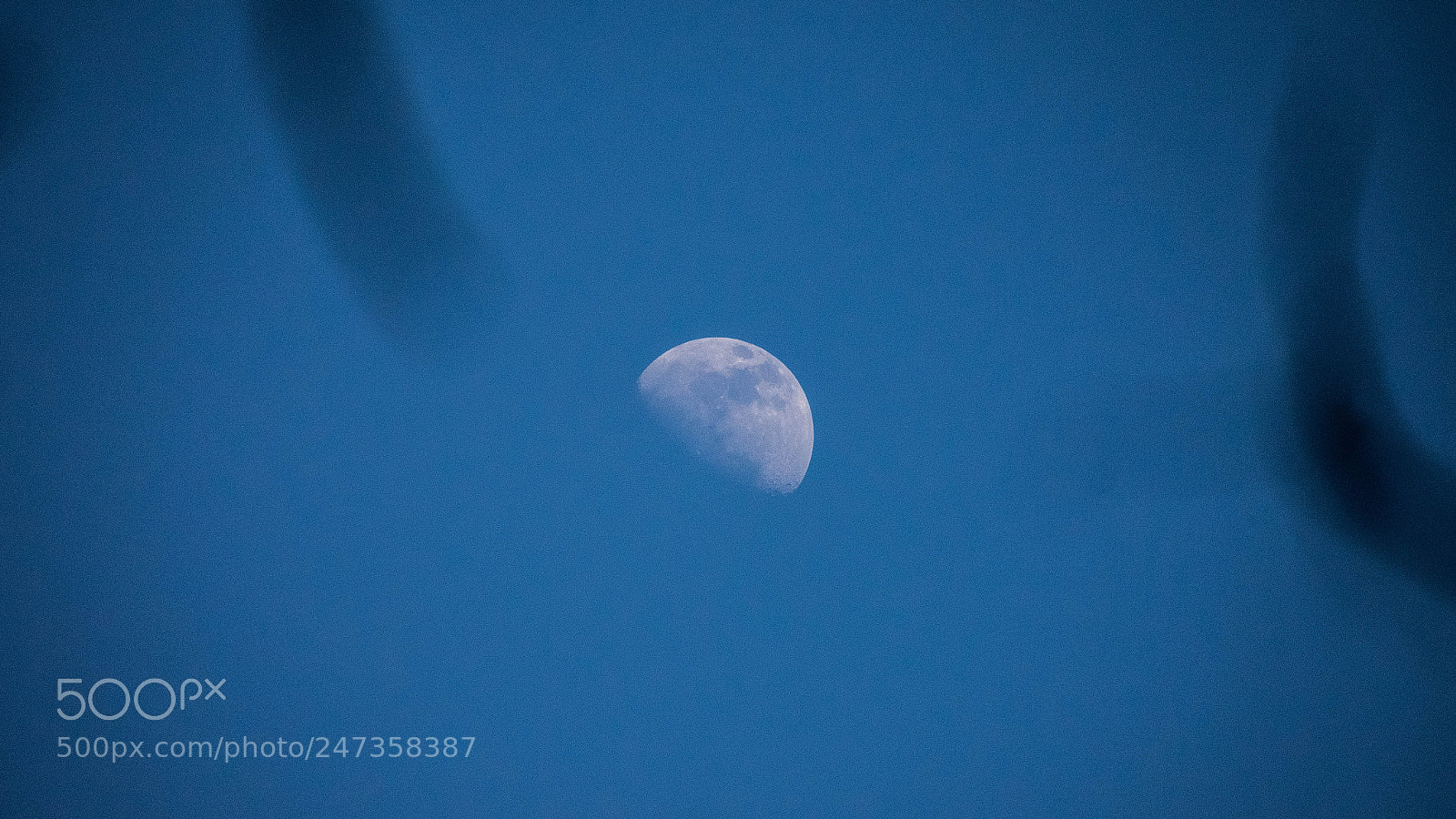 Nikon D3400 sample photo. Blue sky half moon photography